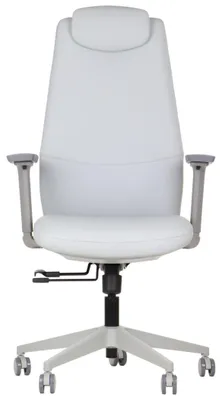Immagine prodotto di Sedia girevole ergonomica da ufficio SELLA GF, base in nylon, braccioli e poggiatesta regolabili, estensione del sedile, rivestito in ecopelle, struttura grigia, rivestimento grigio