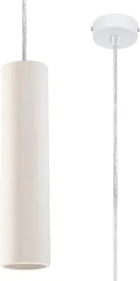 A pendant light fixture and its ceiling mount are shown against a white background.
