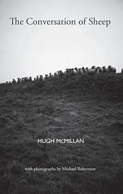 Produktbild von Mcmillan, H: Conversation of Sheep