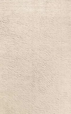 Produktbild von Teppich Kurzflor Wohnzimmer Schlafzimmer Flur Beige Unifarben Einfarbig
