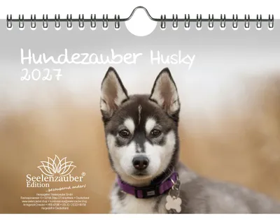 Produktbild von Huskyzauber DIN A5 Kalender für 2027 Welpen und Hunde - Seelenzauber