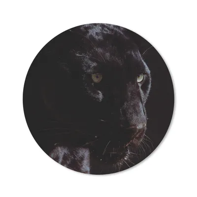 Produktbild von MuchoWow® Mauspad Mousepad Panther - Tier - Schwarz 20x20 cm - Mousepads - Maus Mat - Pad - Mausunterlage - Schreibtischmatte