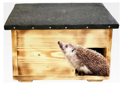 Produktbild von Igelhaus Bausatz aus Holz für den Garten
