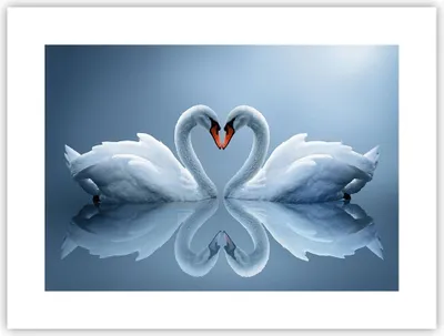 Produktbild von Poster - Poster ohne Rahmen - Ladung Dampf Wasser - 40x30 cm - Wand Bild - Wanddeko - Wandbilder - Kunstposter - Wandposter - Bilder - Kunstdruck - Wanddekoration - Wandbild - P2XAA40x30-3541