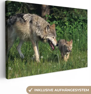 Produktbild von OneMillionCanvasses® - Leinwandbilder - 150x100 cm, Wolf - Baby - Gras, Wandbilder Kunstdruck Wanddekoration