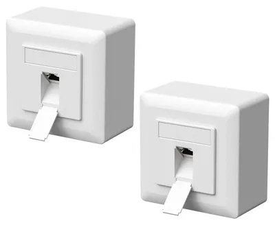 Immagine prodotto di 2 prese di rete universali CAT6a, 10 Gigabit Ethernet, colore bianco