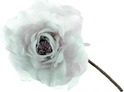 Produktbild von MAGICHOME WEIHNACHTSBLUME, Pfingstrose, grün, 24 cm