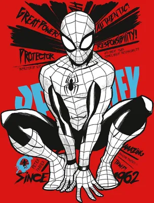 Obrázok produktu pre Komar rúno na ráme Man Spider v červenej farbe - 612825 - 40 cm x 60 cm