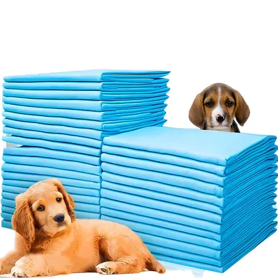 Produktbild von Trainingsunterlagen für Hunde 60x40 cm 100 Stück Inkontinenz Bettunterlage für Tiere Hundezubehör und Welpen Hundeklo für Zuhause Toilettenmatte Retoo