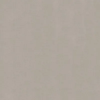 A plain, textured background.