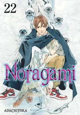 Produktbild von Noragami. Tom 22
