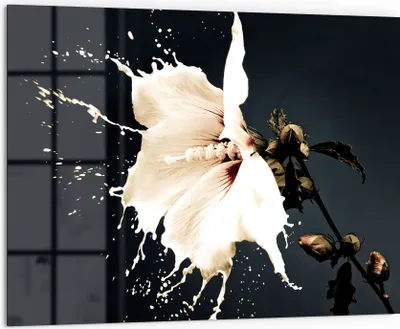 Zdjęcie produktu dla DEQORI Szklany panel kuchenny 80x60 cm "Mleczny kwiat" panel łazienkowy splashback