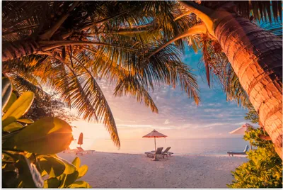 Produktbild von MuchoWow® Poster Strand - Palme - Meer 180x120 cm - Fotoplakat