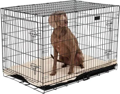 Productafbeelding van Hondenbench - Hondenmand Hondenhok - Veilige Rustplek - Opvouwbaar - 107 x 72 x 77 CM - Zwart