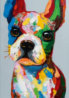Produktbild von ArtUniverse Leinwandbild Lustiger Bunter Hund I 70 x 100 cm