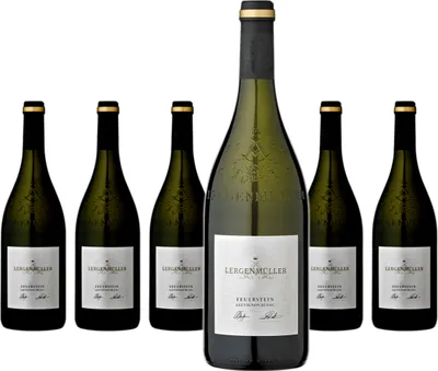 Produktbild von 6 x Lergenmüller Sauvignon Blanc "Feuerstein" QbA trocken