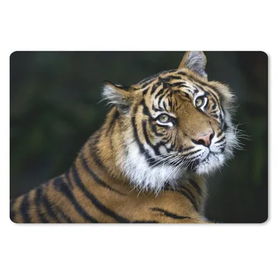 Produktbild von MuchoWow® Mauspad Mousepad Tiger - Porträt - Schwarz 27x18 cm - Mousepads - Maus Mat - Pad - Mausunterlage - Büroartikel - Desk Matten