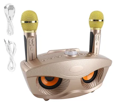 Image de Enceinte Bluetooth pour la maison, KTV, karaoké avec deux microphones (or)