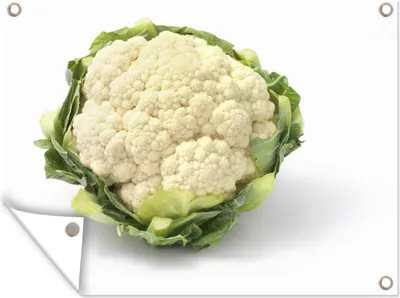 Produktbild von MuchoWow®