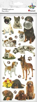 Produktbild von Papieraufkleber Dogs v1 21 Stück Titanum