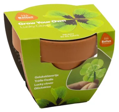 Produktbild von Grow Your Own Glücksklee-Samenpaket Baltus