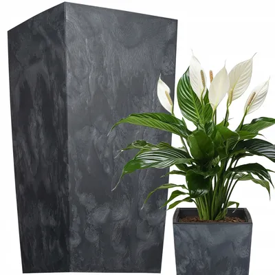 Obrázek produktu pro Květináč Prosperplast | Urbi Square | Efekt antracit | 24 cm
