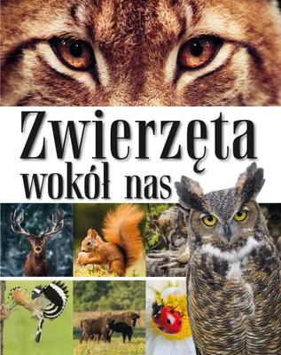 Immagine prodotto di Zwierzęta Wokół Nas. Encyklopedia Dla Dzieci
