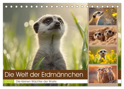Produktbild von Die Welt der Erdmännchen (Tischkalender 2027 DIN A5 quer), CALVENDO Monatskalender