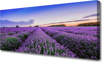 Produktbild von Tulup Leinwand-Bilder 125x50 Wandbild Canvas Kunstdruck Wiese Blumen Natur