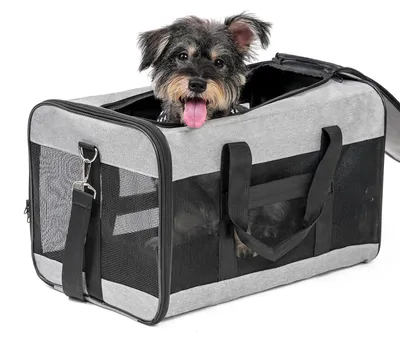 Immagine prodotto di Trasportino pieghevole per cani e gatti, grigio, dimensioni 51x31x31 cm, traspirante, adatto a animali fino a 10 kg