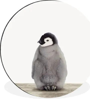 Produktbild von MuchoWow® Aluminium Wandkreis Kinder - Pinguin - Grau - Tiere - Mädchen - Jungen Ø 30 cm Wanddeko Modern Wohnzimmer - Wand Bild - Wohnzimmer - Runde Bilder - Alubilder - Kunst für zu Hause - Aluminium - Wanddekoration