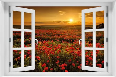 Produktbild von Wallario Poster mit Fenster-Illusion: Mohnblumenwiese bei Sonnenuntergang am Abend, Größe: 100 x 150 cm