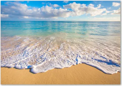 Produktbild von Tulup® Leinwandbild - 100x70 cm - Wandkunst - Drucke auf Leinwand - Leinwanddruck  - Landschaften - Blau - Hawaiian Strand