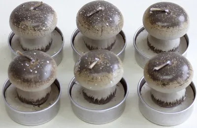 Produktbild von N19076-3020 Teelicht "Pilz" - 6 Stück