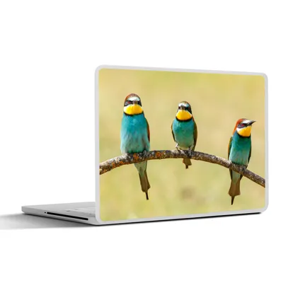 Produktbild von MuchoWow® Laptop Aufkleber Sticker Cover Vögel - Tiere - Bienenfresser 30x22 cm - Laptop-Sticker