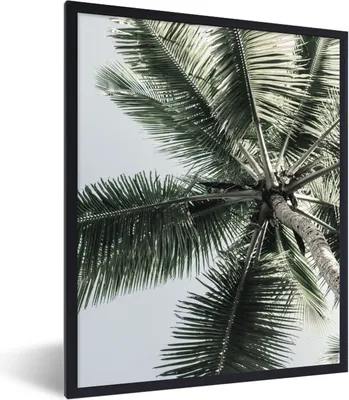 Produktbild von MuchoWow® Gerahmtes Poster Palme - Tropisch - Sommer 60x80 cm - Poster mit Schwarzem Bilderrahmen Wandposter Rahmen Foto Bilder - Premium - Wanddeko Wohnzimmer