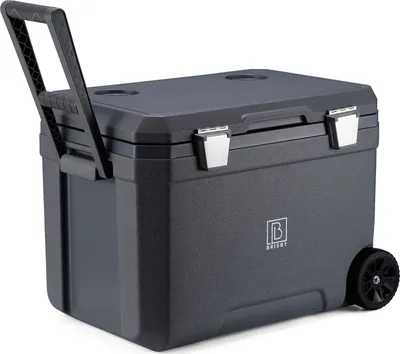 Produktbild von Brisby Kühlbox - Frigobox - 45L - 3 Tage Isolation - 4 dicke Kühlakkus - Temperatursichere Verschluss - Grau
