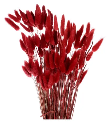 Produktbild von 50 Stück Kunst-Pampasgras, 43 cm Dekoration für Wohnzimmer, Party, Wandvase und Hochzeiten, Rot