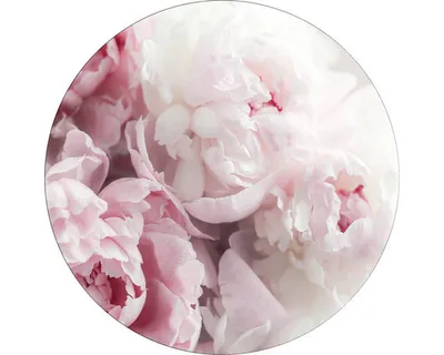 Produktbild von Glasbild Peonies II GLR014 Ø 50 cm