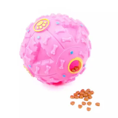 Immagine prodotto di Plastikball ChewFood Rosa L