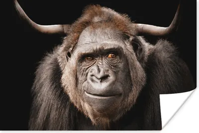 Produktbild von MuchoWow® Poster Affe - Horn - Schwarz 90x60 cm - Schlafzimmer