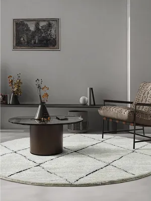A living room scene with a rug, coffee table, and chair.