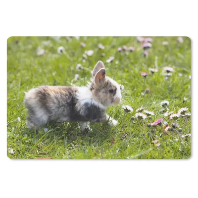 Produktbild von MuchoWow® Schreibtischunterlage Blumenwiese - Kaninchen - Gras 60x40 cm - XXL Mauspad - Großes Mauspad