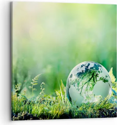 Produktbild von Bild auf Leinwand - Leinwandbild - natur natur - 70x70cm - Wand Bild - Wanddeko - Wandbilder - Leinwanddruck - Bilder - Kunstdruck - Wanddekoration - Leinwand bilder - Wandkunst - AC70x70-4041