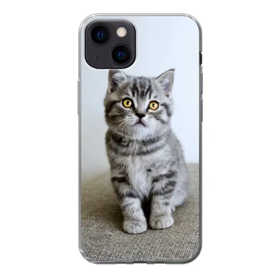 Produktbild von MuchoWow® Handyhülle Schutzhülle Hülle für iPhone 13 Kätzchen - Augen - Gelb - Mädchen - Kinder - Jungen - Kinder Silikon Softcase Handy Hülle - Karteninhaber