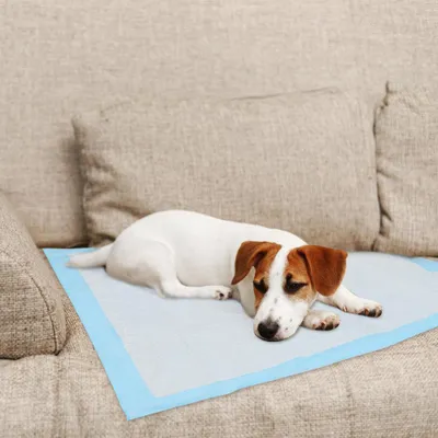 Produktbild von Vigevee 120 Stück Welpenunterlagen 60x60 cm Hundetoilette Pads Saugfähige Einweg Matten