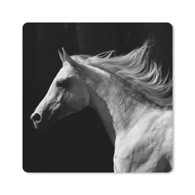 Produktbild von MuchoWow® Mauspad Mousepad Pferde - Tiere - Porträt 20x20 cm - Mousepads - Maus Mat - Pad - Mausunterlage