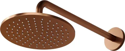 Immagine prodotto di Steinberg Série 100 Douche de tête, douche de pluie, ronde, 250x8 mm, 1001686BC, 1001686BC