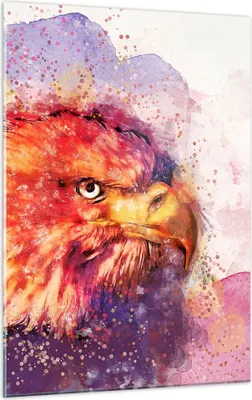 Produktbild von Bilder auf glas - Einteilig - Adler Vogel Feder - 50x70cm - Glasbilder - Wandbilder - Bilder - zum Aufhängen bereit - Wanddekoration aus Glas - Glas Bilder - Wandbild auf Glas - GPA50x70-4054