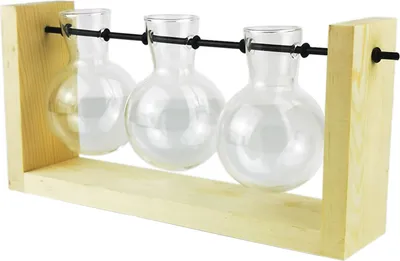 Image de Vase hydroponique en verre & bois, terrarium végétal pour décoration de table & végétalisation intérieure